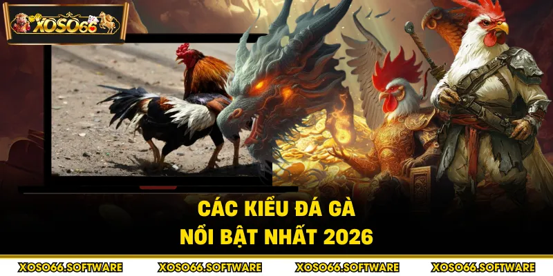 Các kiểu đá gà nổi bật nhất 2026