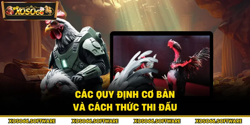 Các quy định cơ bản và cách thức thi đấu