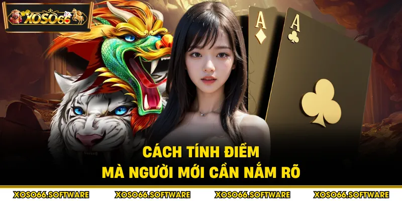 Cách tính điểm mà người mới cần nắm rõ