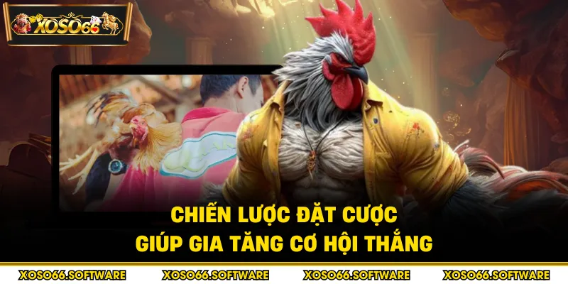 Chiến lược đặt cược giúp gia tăng cơ hội thắng