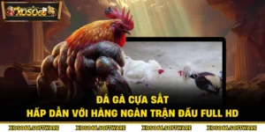 Đá gà cựa sắt