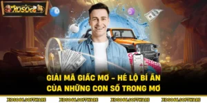 Giải mã giấc mơ