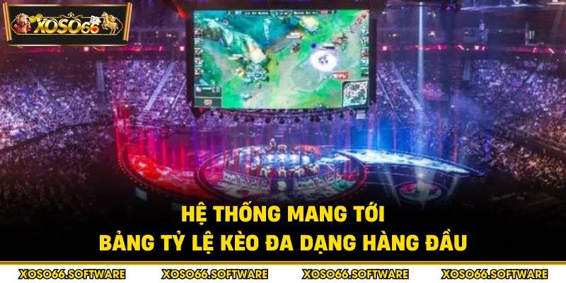 Hệ thống mang tới bảng tỷ lệ kèo đa dạng hàng đầu