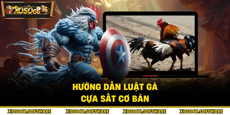 Hướng dẫn luật gà cựa sắt cơ bản