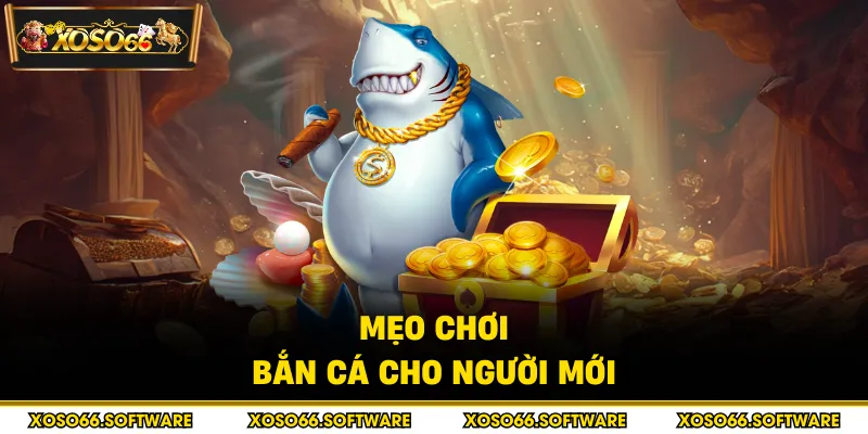 Mẹo chơi bắn cá cho người mới
