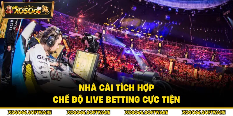 Nhà cái tích hợp chế độ live betting cực tiện
