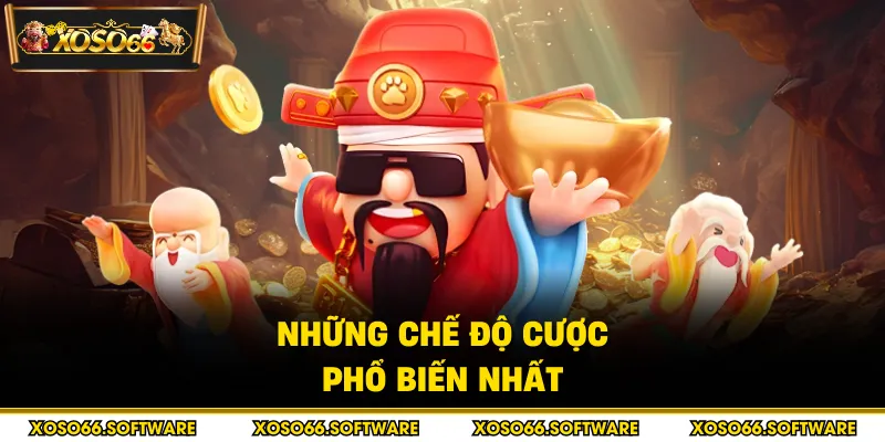 Những chế độ cược phổ biến nhất