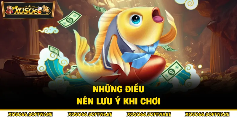 Những điều nên lưu ý khi chơi