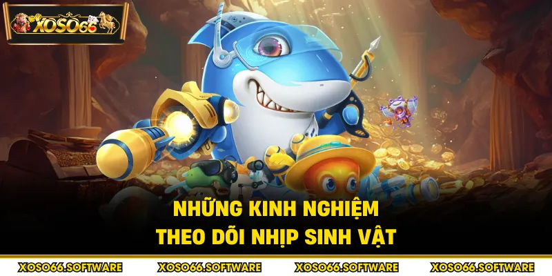 Những kinh nghiệm theo dõi nhịp sinh vật