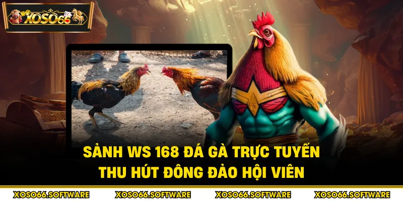 Sảnh WS 168 đá gà trực tuyến thu hút đông đảo hội viên